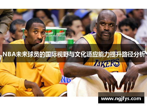 NBA未来球员的国际视野与文化适应能力提升路径分析