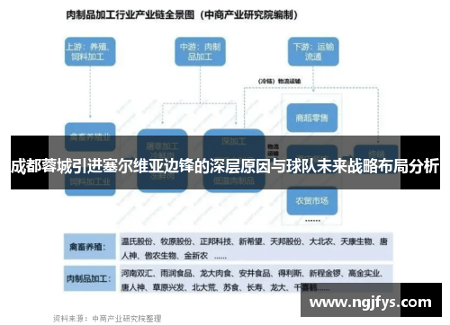 成都蓉城引进塞尔维亚边锋的深层原因与球队未来战略布局分析