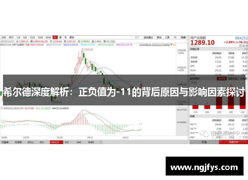 希尔德深度解析：正负值为-11的背后原因与影响因素探讨