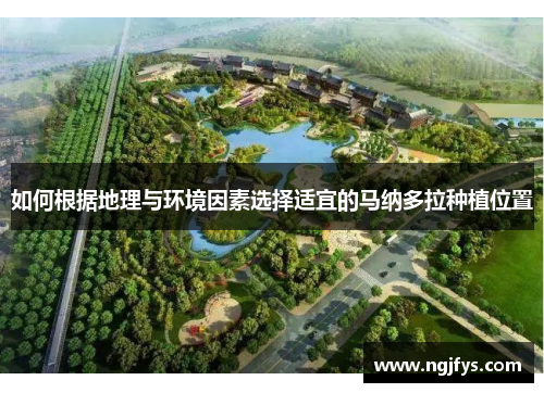 如何根据地理与环境因素选择适宜的马纳多拉种植位置