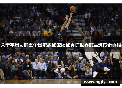 关于字母哥的五个国家级秘密揭秘震惊世界的篮球传奇真相 关于字母哥的五个国家级秘密揭秘震惊世界的篮球传奇真相